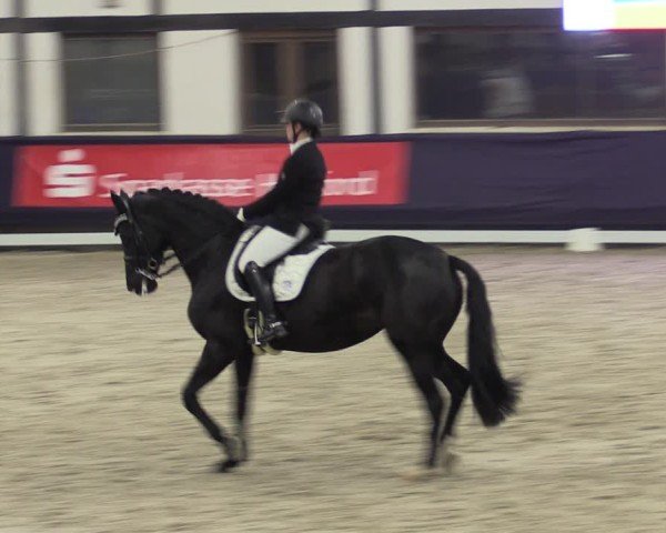 Reitturnier Vlotho-Exter 2025