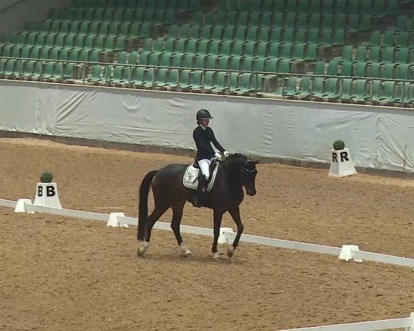 Reitturnier Kreuth 2025