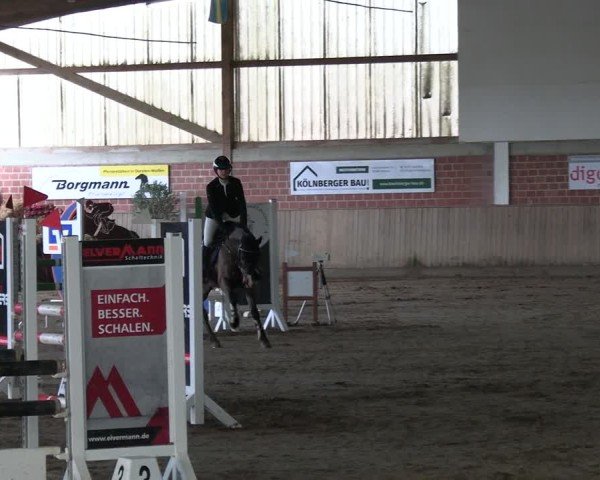 Reitturnier Lembeck 2025