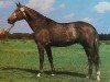 stallion Johannistag 1474 (Noble Warmblood, 1985, from Jerome I 2627)