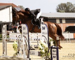 jumper La Luna 401 (Hanoverian, 2016, from Lord Pezi Junior)