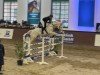 jumper Casino 102 (Hungarian Warmblood, 2010, from Agropoint Cassiloc)