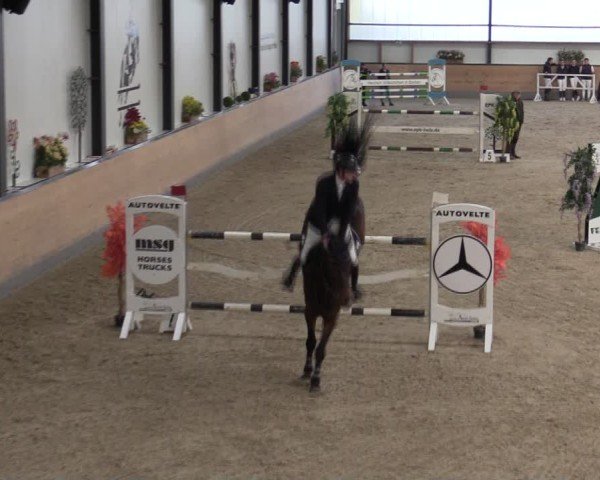 Reitturnier Borken (Hessen) 2025