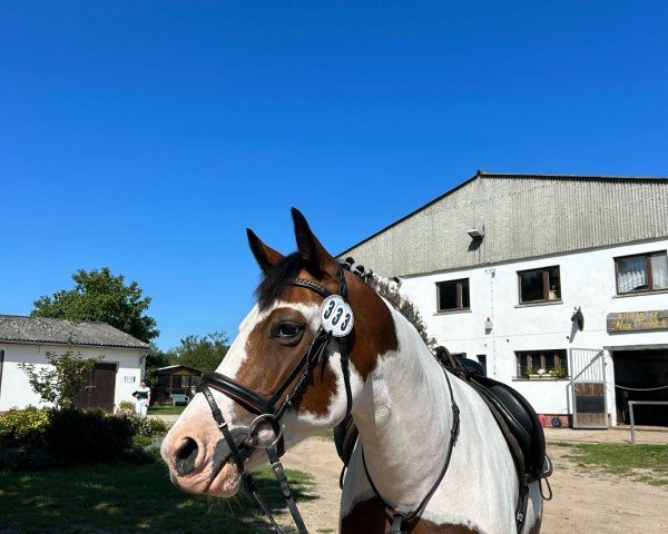dressage horse Schneewittchen (unknown, 2017, from Solero)