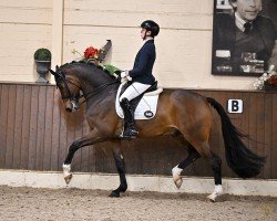 dressage horse Bestseller HL (Rhinelander, 2014, from Bretton Woods)