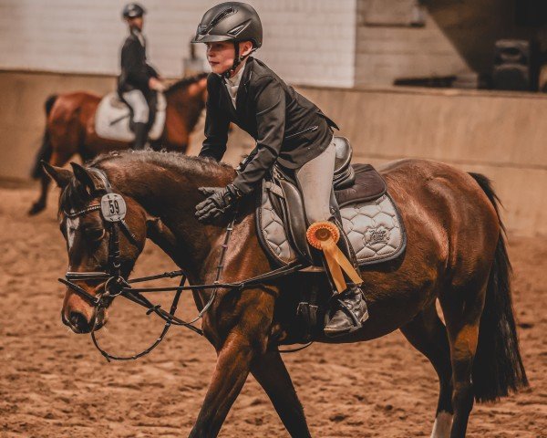 dressage horse Nassaja (German Riding Pony, 2020, from Neverland WE)