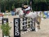 jumper Clintera (Hanoverian, 2011, from Clinton I)