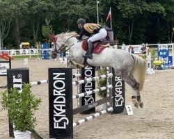 jumper Clintera (Hanoverian, 2011, from Clinton I)