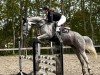 jumper Larissa 865 (Holsteiner, 2018, from Unlimited)