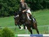 dressage horse Motaba XX (Thoroughbred, 2004, from Hamond xx)