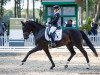 dressage horse Thomson Redford (Oldenburg, 2015, from Radisson)