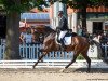 dressage horse Floricella (Oldenburg, 2015, from Fürstenball)