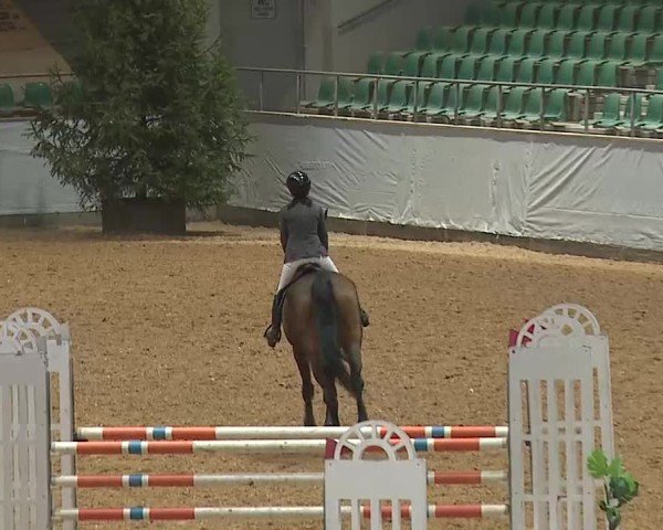 Reitturnier Kreuth 2025