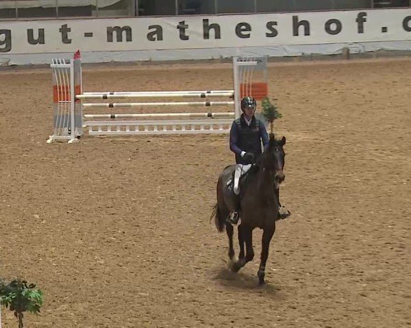 Reitturnier Kreuth 2025