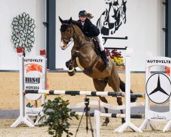 jumper Hubertushof's Notre-Dame (German Sport Horse, 2019, from Liandero)