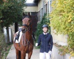 jumper Delgada 6 (German Sport Horse, 2017, from Douglas)