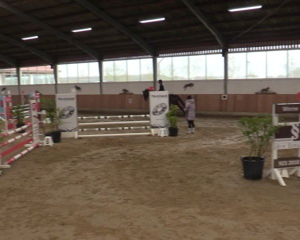 Reitturnier Werne 2025