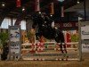 jumper Sandmann 77 (German Riding Pony, 2011, from Silberberg Wildfang)