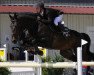 stallion Pivarot van de Kapel (Belgian Warmblood, 1999, from Happy Wind D'Hof Ten Bos)