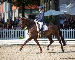 dressage horse Fürstin Fee (Rhinelander, 2015, from Fürst Fohlenhof)