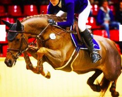 Springpferd Jarta 3 (Schwedisches Warmblut, 2009, von Heartbeat)