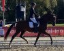 dressage horse Amperico H (Oldenburg, 2016, from Ampère)