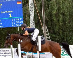 broodmare Centa de Blanc (Oldenburg show jumper, 2010, from Cheval de Blanc)