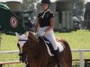 Deckhengst Schloß Altenhausen Baccardi (Welsh-Cob (Sek. C), 2004, von Schloß Altenhausen Woodstock)