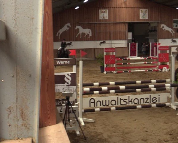 Reitturnier Werne 2025