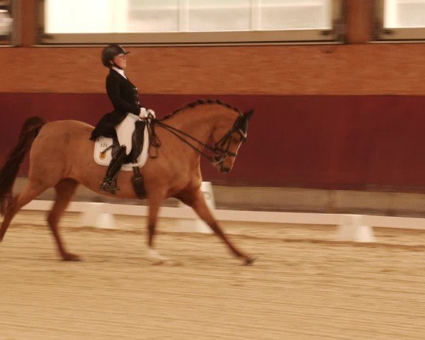 Reitturnier Balingen 2025