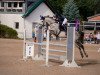 jumper Complete Sweet (Oldenburg show jumper, 2013, from Casino Berlin OLD)