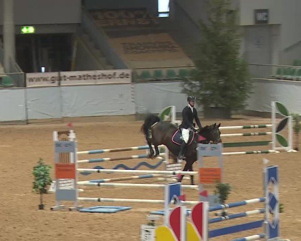 Reitturnier Kreuth 2025