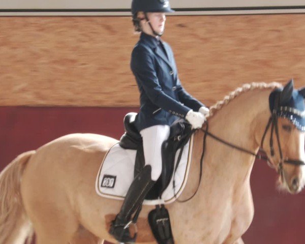 Reitturnier Balingen 2025