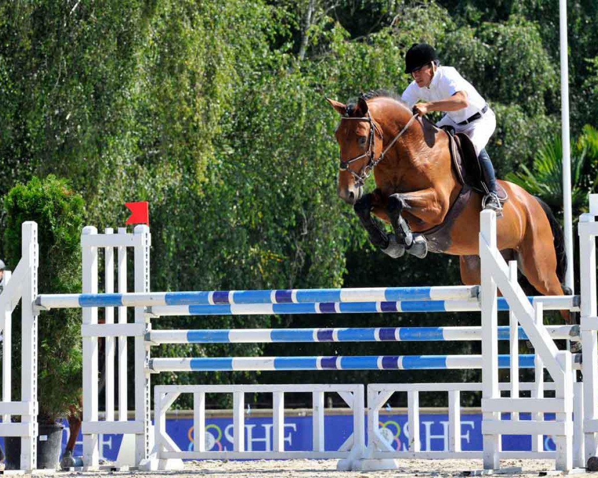 Springpferd Top Price D'Euskadi (Selle Français, 2007, von Baloubet du Rouet)