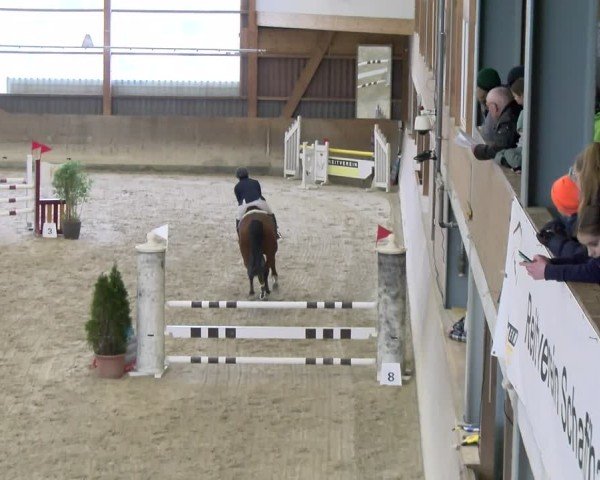 Reitturnier Schaffhausen 2025
