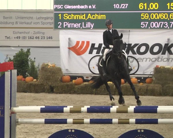 Reitturnier Karlsfeld/Obb. 2021