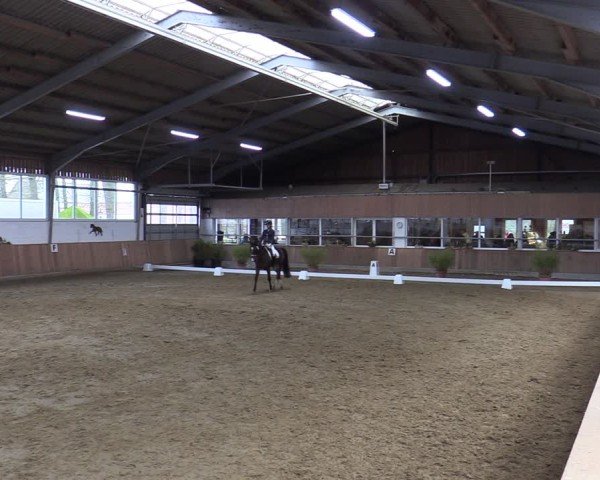 Reitturnier Werne 2025
