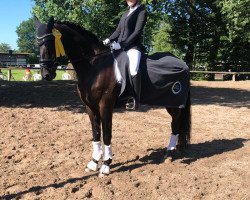 dressage horse Ethos 16 (Trakehner, 2012, from Kentucky)