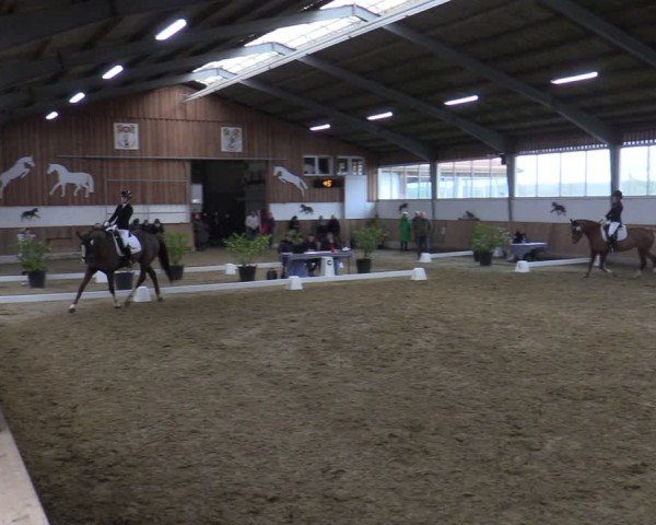 Reitturnier Werne 2025