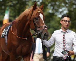 stallion Sisfahan xx (Thoroughbred, 2018, from Isfahan xx)