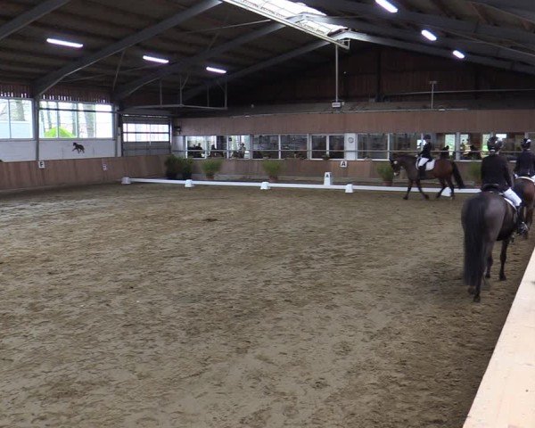 Reitturnier Werne 2025