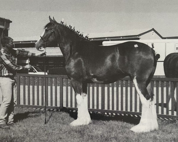 broodmare Maple Stone Anna May (Clydesdale, 1998, from Ayton Final Achievement)