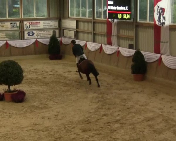 YOUNGSTER-EVENT GOCH 2013