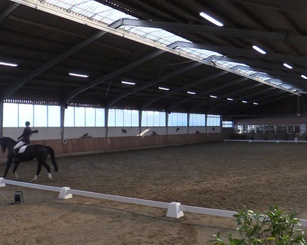 Reitturnier Werne 2025