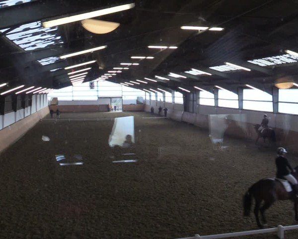 Reitturnier Datteln 2025