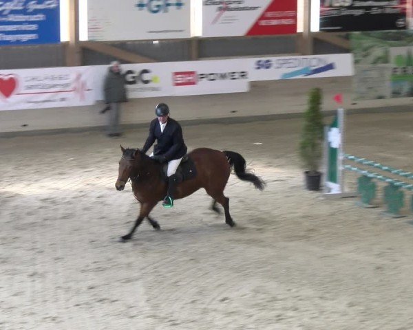 Reitturnier Schaffhausen 2025