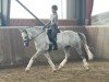 dressage horse Hokuspokus (German Riding Pony, 2018, from Herzkönig NRW)