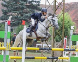 jumper Thor Hap (Spanish Sport Horse, 2018)