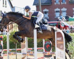 jumper Rocky Rocks Forever (Holsteiner, 2018, from Rock Forever NRW)