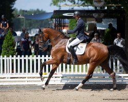 dressage horse Emszauber As (Westphalian, 2015, from Escolar)